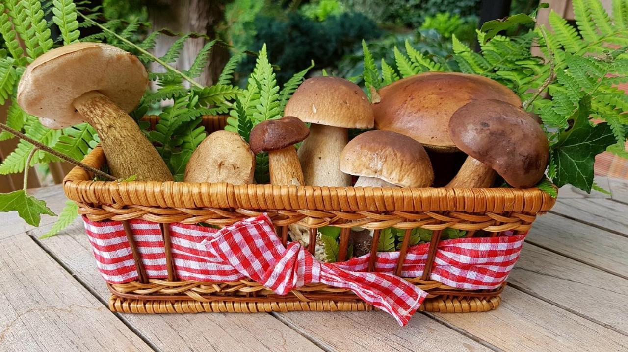 Casa De La Panaderia Vendégház Los Navalucillos Kültér fotó